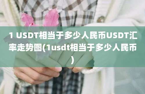 1 USDT相当于多少人民币USDT汇率走势图(1usdt相当于多少人民币)