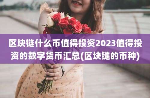 区块链什么币值得投资2023值得投资的数字货币汇总(区块链的币种)