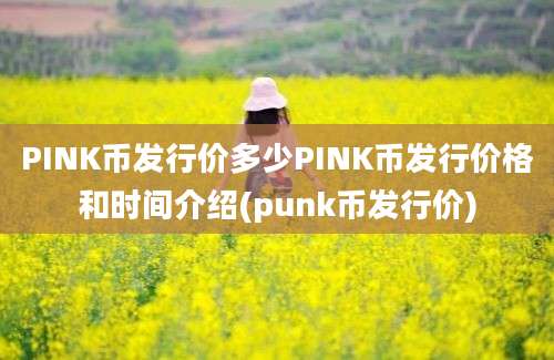 PINK币发行价多少PINK币发行价格和时间介绍(punk币发行价)