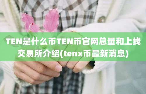 TEN是什么币TEN币官网总量和上线交易所介绍(tenx币最新消息)