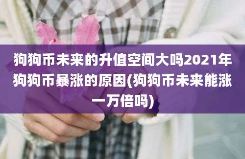 狗狗币未来的升值空间大吗2021年狗狗币暴涨的原因(狗狗币未来能涨一万倍吗)