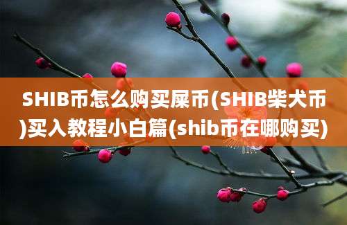 SHIB币怎么购买屎币(SHIB柴犬币)买入教程小白篇(shib币在哪购买)