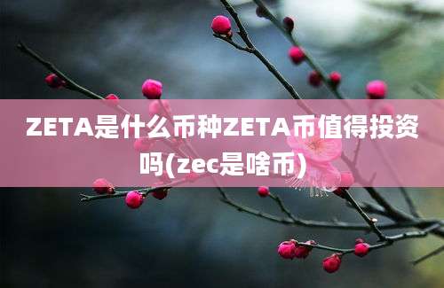 ZETA是什么币种ZETA币值得投资吗(zec是啥币)