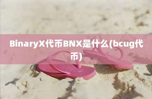 BinaryX代币BNX是什么(bcug代币)