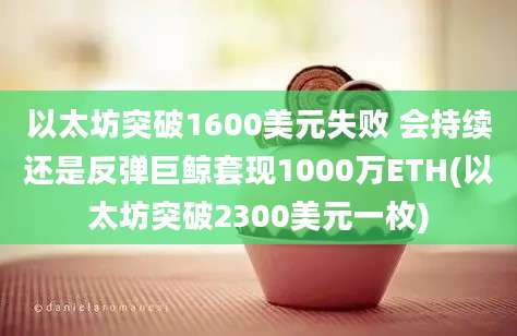 以太坊突破1600美元失败 会持续还是反弹巨鲸套现1000万ETH(以太坊突破2300美元一枚)