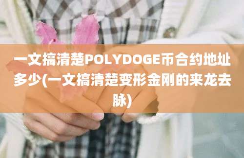 一文搞清楚POLYDOGE币合约地址多少(一文搞清楚变形金刚的来龙去脉)