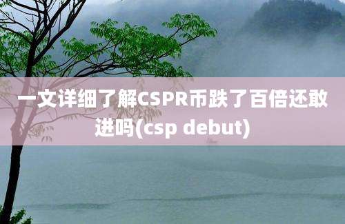 一文详细了解CSPR币跌了百倍还敢进吗(csp debut)