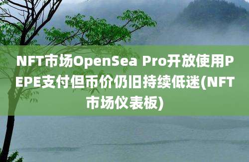 NFT市场OpenSea Pro开放使用PEPE支付但币价仍旧持续低迷(NFT市场仪表板)