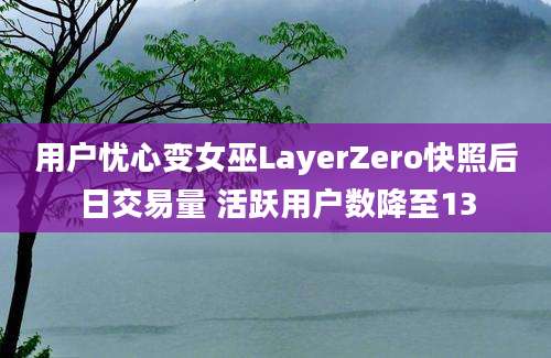 用户忧心变女巫LayerZero快照后日交易量 活跃用户数降至13