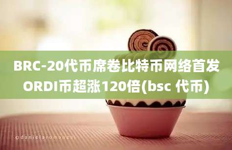 BRC-20代币席卷比特币网络首发ORDI币超涨120倍(bsc 代币)