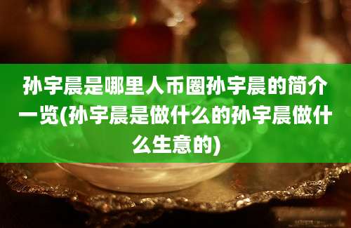 孙宇晨是哪里人币圈孙宇晨的简介一览(孙宇晨是做什么的孙宇晨做什么生意的)