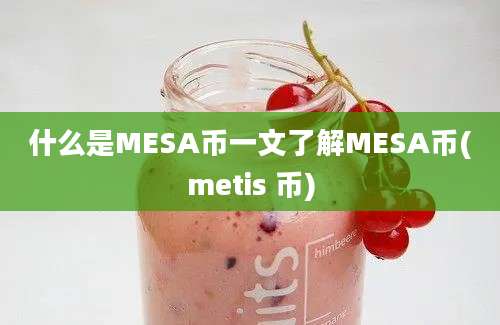 什么是MESA币一文了解MESA币(metis 币)