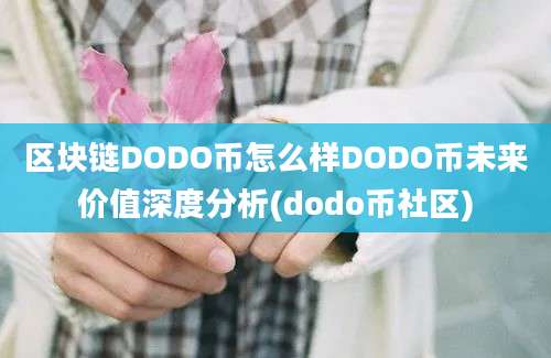 区块链DODO币怎么样DODO币未来价值深度分析(dodo币社区)