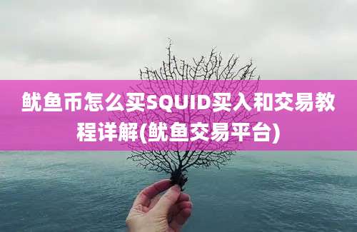 鱿鱼币怎么买SQUID买入和交易教程详解(鱿鱼交易平台)