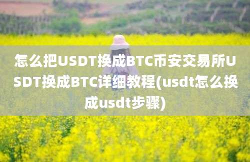 怎么把USDT换成BTC币安交易所USDT换成BTC详细教程(usdt怎么换成usdt步骤)