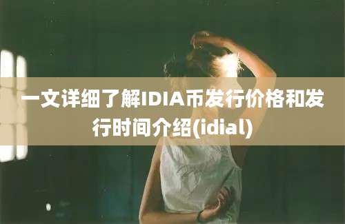 一文详细了解IDIA币发行价格和发行时间介绍(idial)