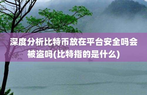 深度分析比特币放在平台安全吗会被盗吗(比特指的是什么)