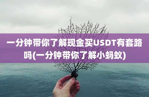 一分钟带你了解现金买USDT有套路吗(一分钟带你了解小蚂蚁)