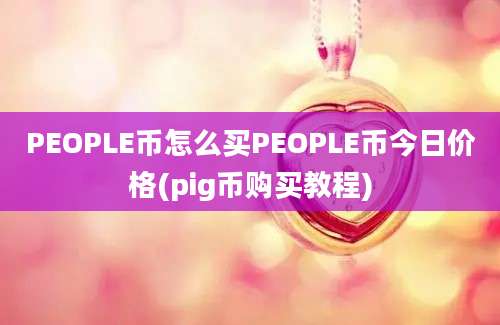 PEOPLE币怎么买PEOPLE币今日价格(pig币购买教程)