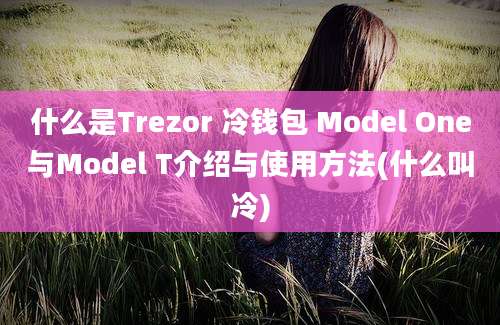 什么是Trezor 冷钱包 Model One与Model T介绍与使用方法(什么叫冷)