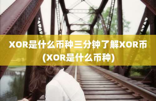 XOR是什么币种三分钟了解XOR币(XOR是什么币种)