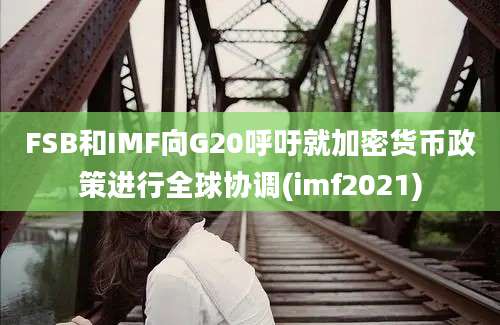 FSB和IMF向G20呼吁就加密货币政策进行全球协调(imf2021)