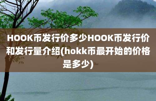 HOOK币发行价多少HOOK币发行价和发行量介绍(hokk币最开始的价格是多少)