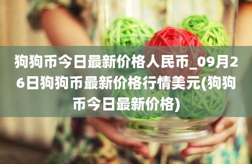 狗狗币今日最新价格人民币_09月26日狗狗币最新价格行情美元(狗狗币今日最新价格)