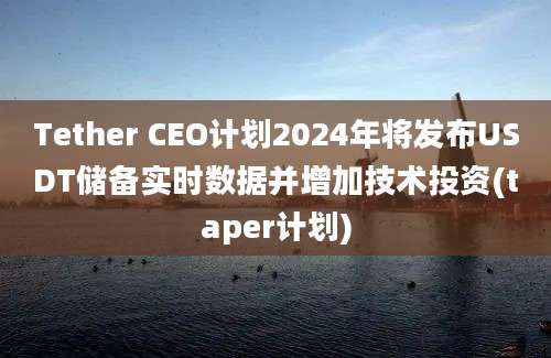 Tether CEO计划2024年将发布USDT储备实时数据并增加技术投资(taper计划)