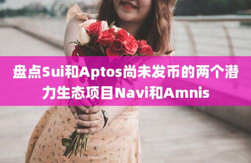 盘点Sui和Aptos尚未发币的两个潜力生态项目Navi和Amnis