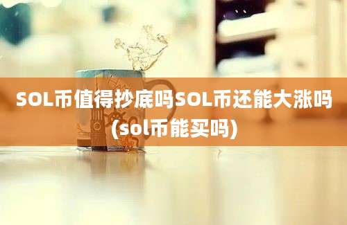 SOL币值得抄底吗SOL币还能大涨吗(sol币能买吗)