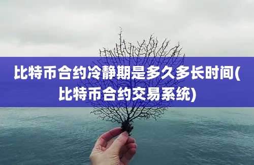 比特币合约冷静期是多久多长时间(比特币合约交易系统)