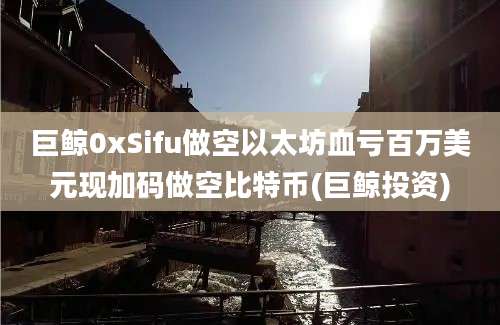 巨鲸0xSifu做空以太坊血亏百万美元现加码做空比特币(巨鲸投资)