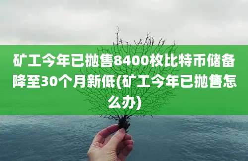 矿工今年已抛售8400枚比特币储备降至30个月新低(矿工今年已抛售怎么办)