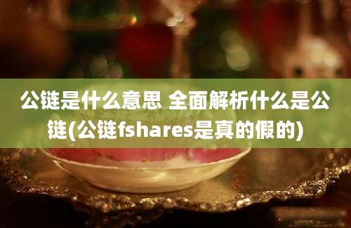 公链是什么意思 全面解析什么是公链(公链fshares是真的假的)