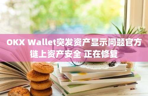 OKX Wallet突发资产显示问题官方链上资产安全 正在修复