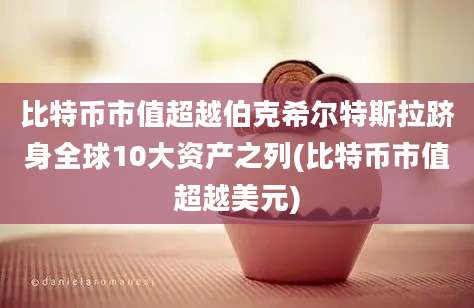 比特币市值超越伯克希尔特斯拉跻身全球10大资产之列(比特币市值超越美元)