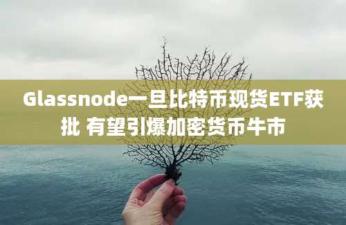 Glassnode一旦比特币现货ETF获批 有望引爆加密货币牛市