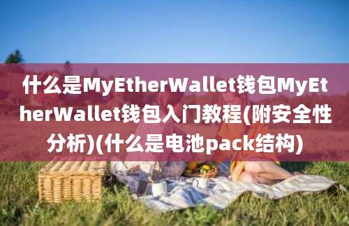 什么是MyEtherWallet钱包MyEtherWallet钱包入门教程(附安全性分析)(什么是电池pack结构)