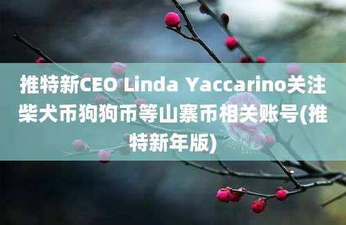 推特新CEO Linda Yaccarino关注柴犬币狗狗币等山寨币相关账号(推特新年版)