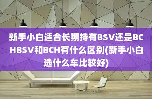 新手小白适合长期持有BSV还是BCHBSV和BCH有什么区别(新手小白选什么车比较好)