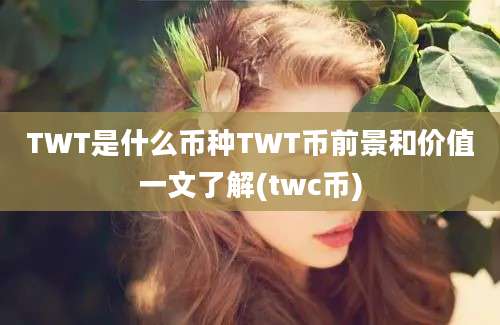 TWT是什么币种TWT币前景和价值一文了解(twc币)