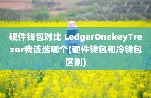 硬件钱包对比 LedgerOnekeyTrezor我该选哪个(硬件钱包和冷钱包区别)