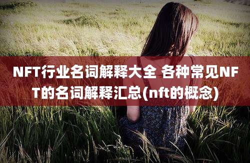 NFT行业名词解释大全 各种常见NFT的名词解释汇总(nft的概念)