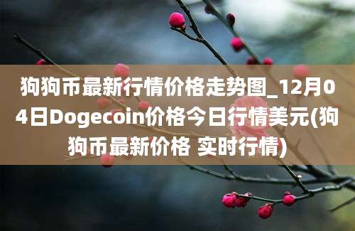 狗狗币最新行情价格走势图_12月04日Dogecoin价格今日行情美元(狗狗币最新价格 实时行情)