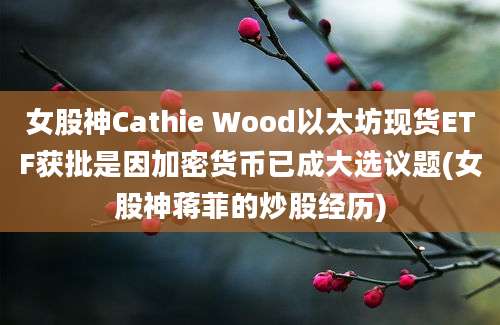 女股神Cathie Wood以太坊现货ETF获批是因加密货币已成大选议题(女股神蒋菲的炒股经历)