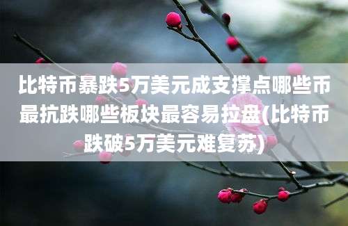 比特币暴跌5万美元成支撑点哪些币最抗跌哪些板块最容易拉盘(比特币跌破5万美元难复苏)