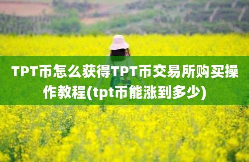 TPT币怎么获得TPT币交易所购买操作教程(tpt币能涨到多少)