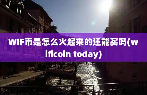 WIF币是怎么火起来的还能买吗(wificoin today)