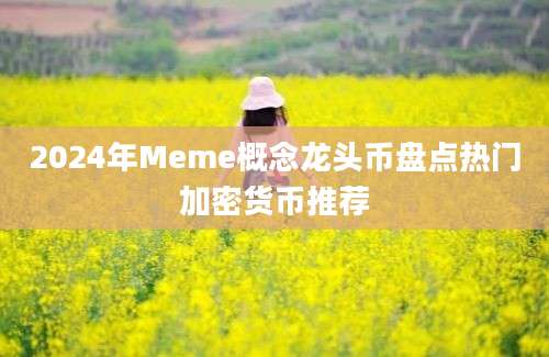 2024年Meme概念龙头币盘点热门加密货币推荐